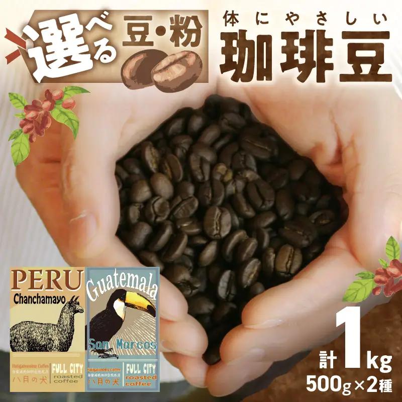 コーヒー豆 飲み比べ 500gx2種 コーヒー豆