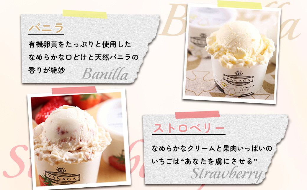 イメージ画像です