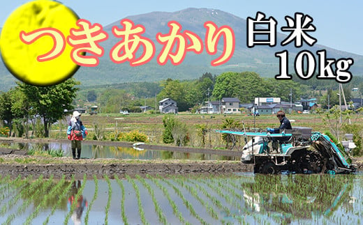 
            【2024年11月発送開始】 令和6年産 新米 つきあかり 精米 10kg ／ 白米 産地直送 岩手県産 【かきのうえ】
          