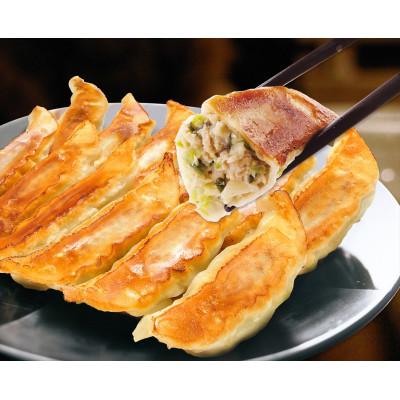 ふるさと納税 宇都宮市 「宇都宮餃子館」のニラ餃子 8個入り×6パック(計48個) |  | 01