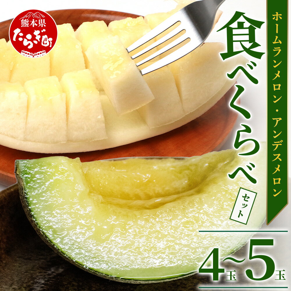 【ふるさと納税】＼2026年発送分 先行予約／熊本県産 ホームランメロン アンデスメロン 食べ比べ 総合計 約5kg 計4〜5玉※令和8年5月上旬～順次発送※ メロン 果物 フルーツ 詰め合わせ 甘い 糖度14度以上 さわやかな 常温 送料無料