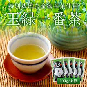 緑茶 お茶 茶葉 100g×5袋セット くまモン 玉緑一番茶 100g×5袋セット