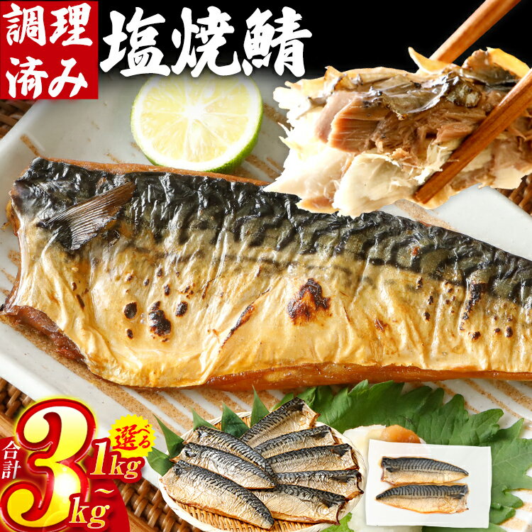 【ふるさと納税】【レビューキャンペーン】さば 鯖 塩サバ 塩焼鯖 約1kg〜3kg 選べる容量 大ぶり 魚 海産物 魚介 海鮮 惣菜 和食 レンチン 調理済 調理済み 温めるだけ 脂のり 晩御飯 おかず ジューシー 冷凍 お弁当 レンジ調理 サバ 自社製造 CP2503HM