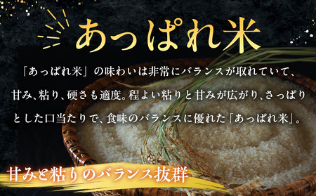 【令和7年産・早期予約受付】北海道産 津別町あっぱれ米（精米）10kg
