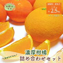 【ふるさと納税】 【先行予約】有田育ちの濃厚柑橘詰め合わせセット(ご家庭用) 約1.5kg 約2.5kg【2025年1月中旬～4月下旬順次発送予定】