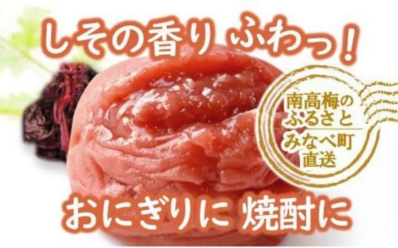 特選A級 紀州南高梅 しそ漬800g 千年の知恵 梅干し ブランド梅 和歌山県産 【hoso006A】