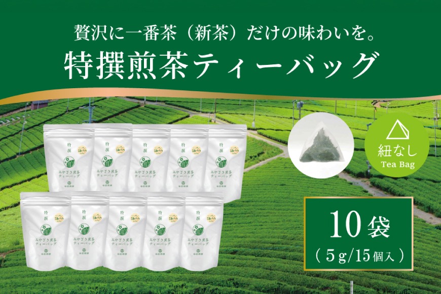 お茶 ティーバッグ 特撰 みやざき煎茶 10袋 セット [谷岩茶舗 宮崎県 日向市 452061644] ティーパック 茶 茶葉 緑茶 新茶 お茶の葉