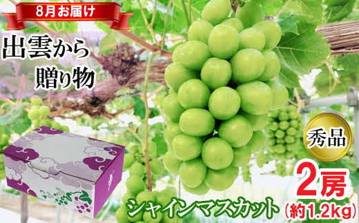 【2026年8月発送】[農家直送]厳選シャインマスカット1.2kg箱（8月出荷）[持田農園] 322032_EB002