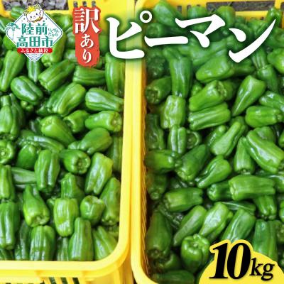 ふるさと納税 陸前高田市 先行予約 訳あり 規格外 ピーマン 約10kg 野菜 夏野菜 Farm Koganeyama