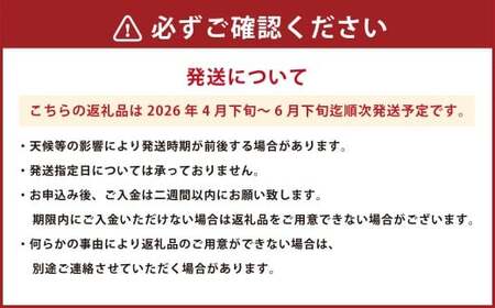 ＜ R8年熊本地震復興支援 ＞植木産 すいか Lサイズ 1玉 【2027年4月下旬～6月下旬迄順次発送予定】 スイカ 西瓜 果物 くだもの フルーツ