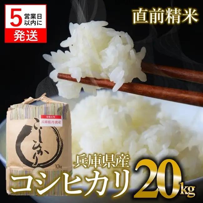 【コシヒカリ】令和7年産 白米20kg【5営業日以内に発送】