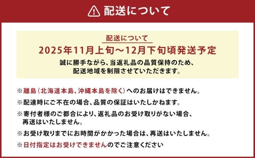 A158 福岡県山川産 塩みかん 10kg 【2025年11月上旬～12月下旬発送予定】 蜜柑 花藻塩_イメージ5