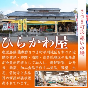 s288 鹿児島県さつま町平川産限定！ひらかわ清流米(5kg)農家さんのおすそわけ♪白米！【ひらかわ屋】