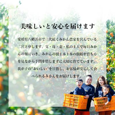 ふるさと納税 八幡浜市 【発送月固定定期便】「こたつの上の冬物語」高級3品種　まどんな+甘平+せとか【H49-73】全3回 |  | 03
