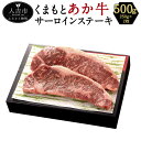 【ふるさと納税】くまもとあか牛 サーロインステーキ 約500g 約250g×2 和牛 牛肉 熊本県産 九州産 国産 冷凍 送料無料