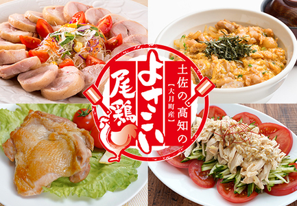 【大月町のブランド鶏】よさこい尾鶏 たっぷり4種セット