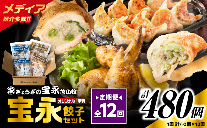 【定期便・全12回 毎月】手包み餃子 ぎょうざの宝永 手羽餃子40個セット（宝永餃子15個入×2袋・手羽餃子5個入×2袋）　T004-T06-02-05