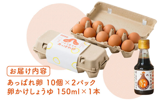 【卵かけご飯セット】いとう君ちのあっぱれ卵20個・卵かけ醤油「たましょー」セット /いとう養鶏場 [UAQ007]