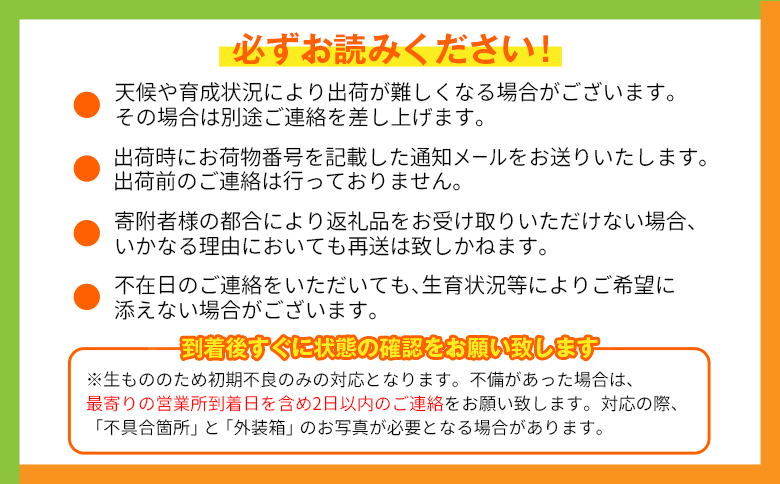 宮崎特産「完熟マンゴー4L×2玉」お届け定期便（全3回）計6玉 特産 国産 果物 フルーツ 旬 産地直送 大玉【F142-27】