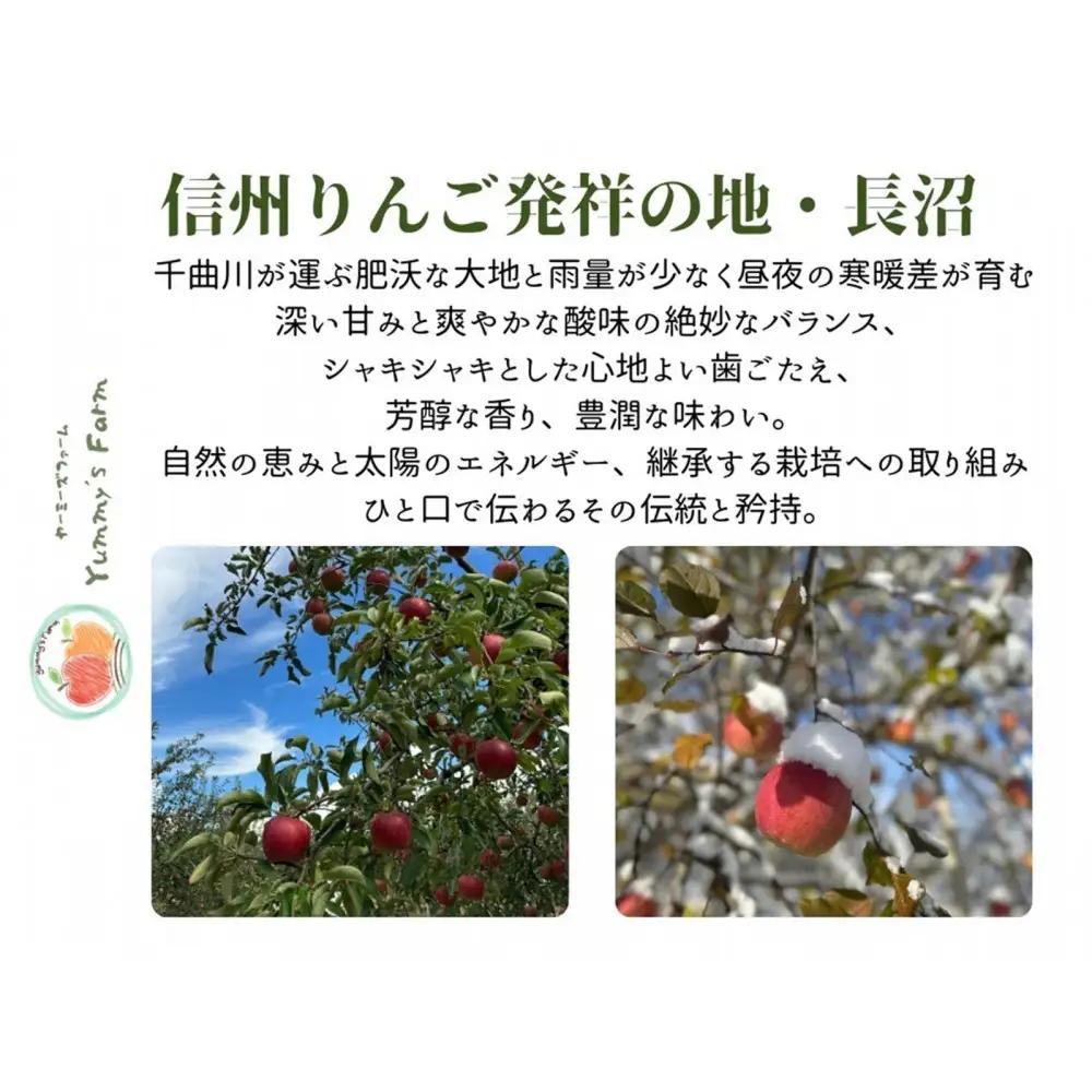 微アルコールシードル ボンプレサージュ330ml×3本 無添加・無濾過・非加熱低温発酵の発酵サイダー