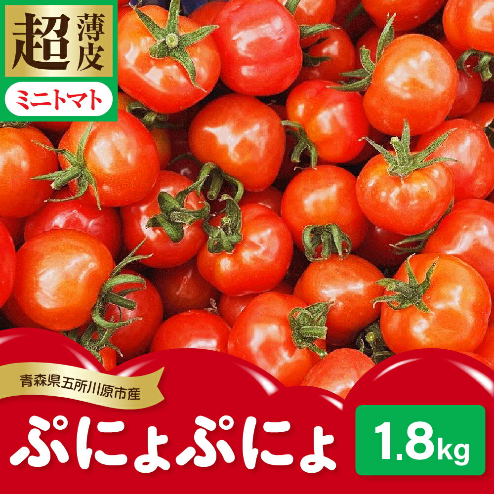 【ふるさと納税】【2025年 先行受付】 ミニトマト 約1.8kg 超薄皮 「ぷにょぷにょ」 ｜ 薄皮 肉厚 みにとまと リコピン 野菜 産地直送 青森 五所川原市 送料無料 プチ サイズの トマト ぷよ っとした食感
