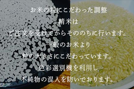 米の食味ランキング3年連続「特A」評価！ 唐津産特別栽培 夢しずく 5kg