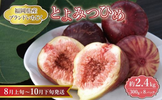 【福岡限定ブランド】いちじく とよみつひめ 300g×8パック (約2.4kg)