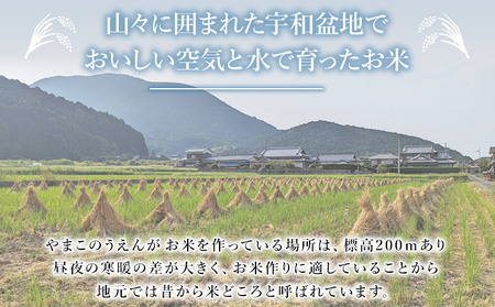 ＜令和7年産 ちほみのり 玄米 10kg＞げんまい 米 こめ コメ ご飯 穀物 10キロ 産地直送 愛媛県産 西予市産 特産品 やまこのうえん 愛媛県 西予市【常温】『2025年9月上旬より順次出荷予