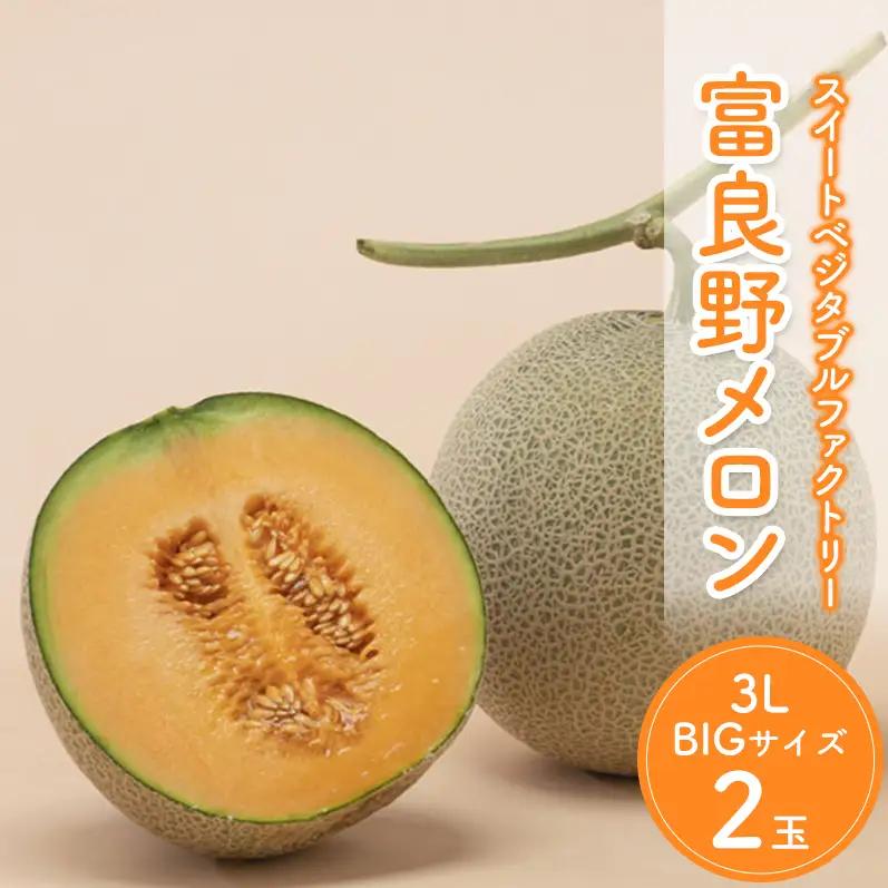 【2026年夏発送】北海道 富良野 メロン 3Lサイズ 2玉 計約4kg フルーツ 果物