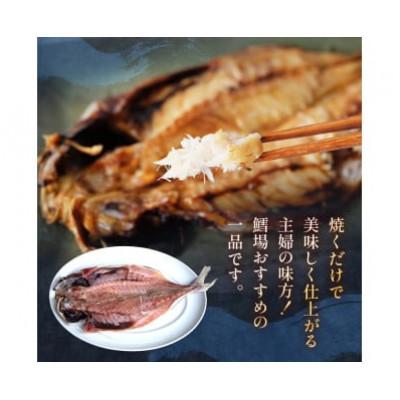 ふるさと納税 氷見市 【毎月定期便】【訳あり】あじの干物(約30cm)6枚全6回 |  | 02