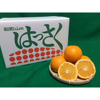 【2027年1月より順次発送】和歌山県産　八朔(はっさく)約10kg　Lサイズ【まごころ手選別】【1750327】