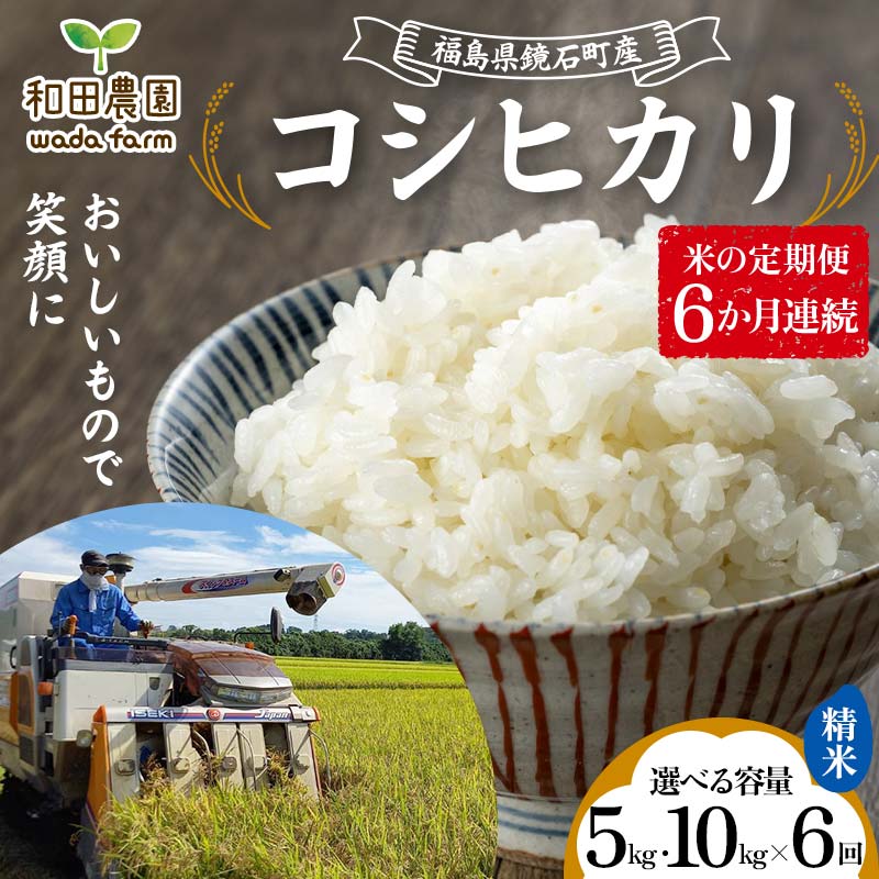 【ふるさと納税】《選べる容量》〈先行予約 2025年産米〉【米の定期便】福島県鏡石町産 和田農園「コシヒカリ」精米《5kg 10kg》 6か月連続 F6Q-300var