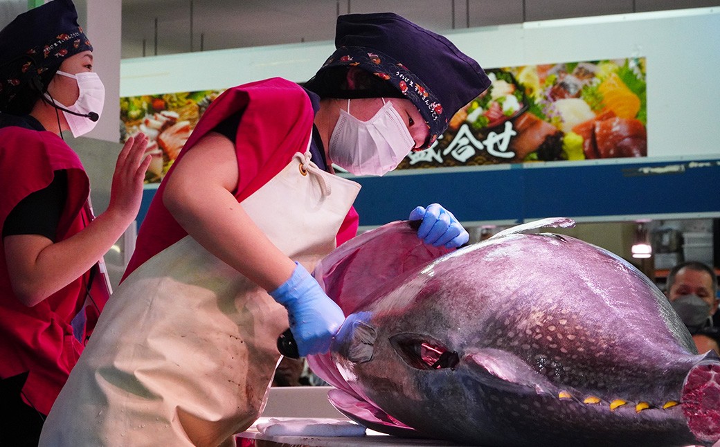 
                  【返礼品なし】 宇和島水産高校 魅Can部 （水産食品研究部）への応援寄附 （990）
                
