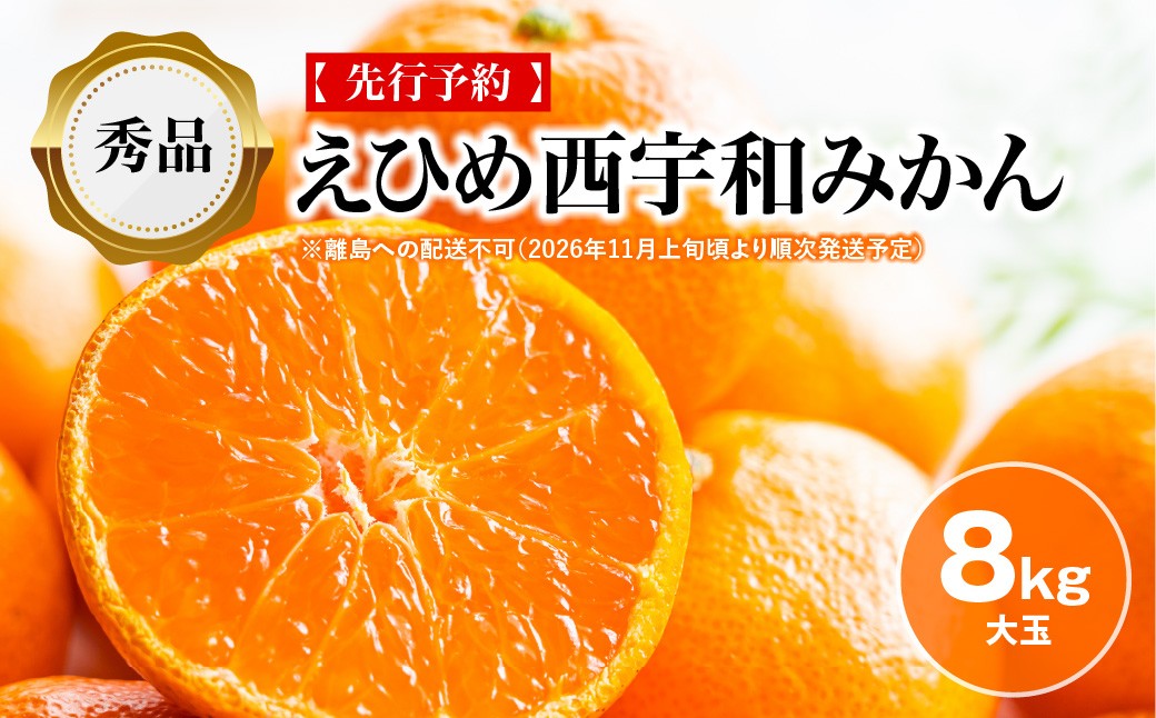
                  【先行予約】【秀品】えひめ西宇和みかん 8kg（大玉）※離島への配送不可（2026年11月上旬頃より順次発送予定）  【ふるさと納税 人気 おすすめ ランキング みかん ミカン 蜜柑 柑橘 えひめ 西宇和 みかん 西宇和みかん mikan 秀品 贈答用 贈答 ギフト プレゼント 贈り物 果物 フルーツ 旬 みさき果樹園 愛媛県産 愛媛県 伊方町 送料無料】 IKTAR002 
                
