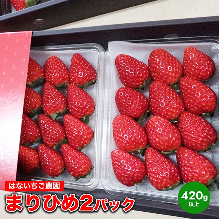 【ふるさと納税】はないちご農園「まりひめ2パック」| まりひめ 苺 いちご イチゴ 美浜町 ふるさと納税 果物 フルーツ 果実 くだもの はないちご農園