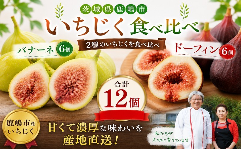 
                  いちじく 食べ比べ バナーネ ドーフィン 健康 ヘルシー 無花果 12個入り 各6個 フルーツ ご褒美 fig 果物 くだもの 冷蔵 デザート 旬 贈答用 ギフト プレゼント おやつ 新鮮 ご褒美 国産 ジャム サラダ いろどり 産地直送 国産 期間限定 お取り寄せ 白いちじく 甘み 酸味 消化促進 おなかに優しい 濃厚 ねっとり 【7月～10月発送】 茨城県 鹿嶋市
                