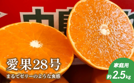 【2026年12月上旬から発送】愛果28号 (紅まどんな と同品種) 約2.5kg 家庭用 | 紅まどんな と同品種 みかん 【TMN105_x】