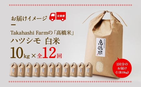 定期便 全12回 岐阜県 揖斐川町産 令和6年 ハツシモ  高橋米 10kg 1袋 お米 精米 白米 米 ごはん ご飯 はつしも あっさり  ブランド米 10キロ 大粒 幻の米 高橋ファーム Taka