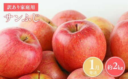 りんご 家庭用 サンふじ約2kg 青森県平川市産 [hi-0038-014-1]