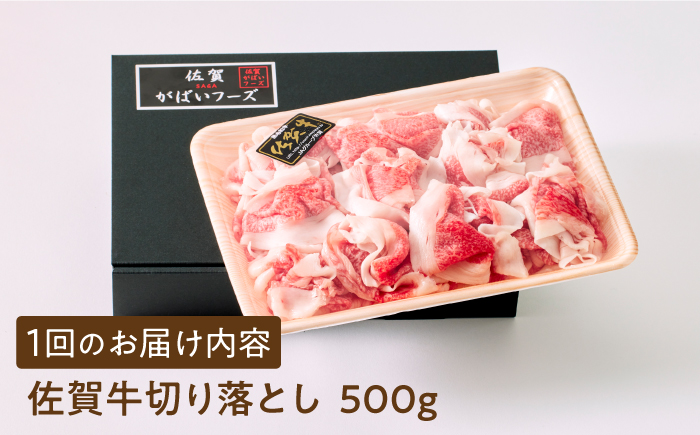 【様々な料理に使いやすい】＜全12回定期便＞佐賀牛切り落とし 500g【がばいフーズ】佐賀牛 A5 しゃぶしゃぶ すき焼き 牛丼 [HCS031]