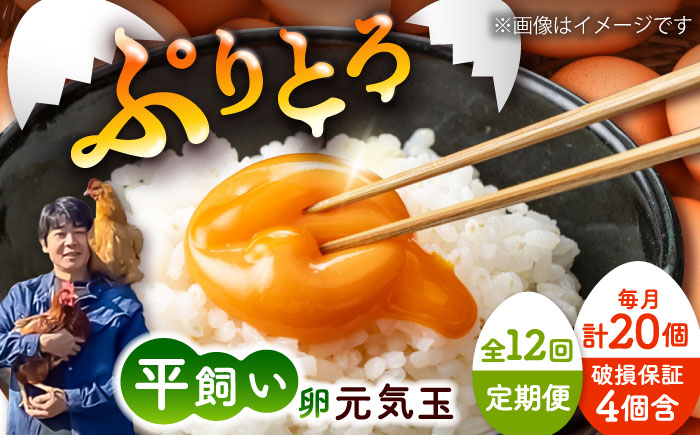 【全12回定期便】平飼い新鮮たまご 元気玉 計20個(10個×2パック) / 卵 ぷりぷり 新鮮 玉子 オムレツ たまごかけごはん 朝食 平飼い 濃厚 こく 熊本県 菊陽町【ぴよっこファーム】 [BHAP005]