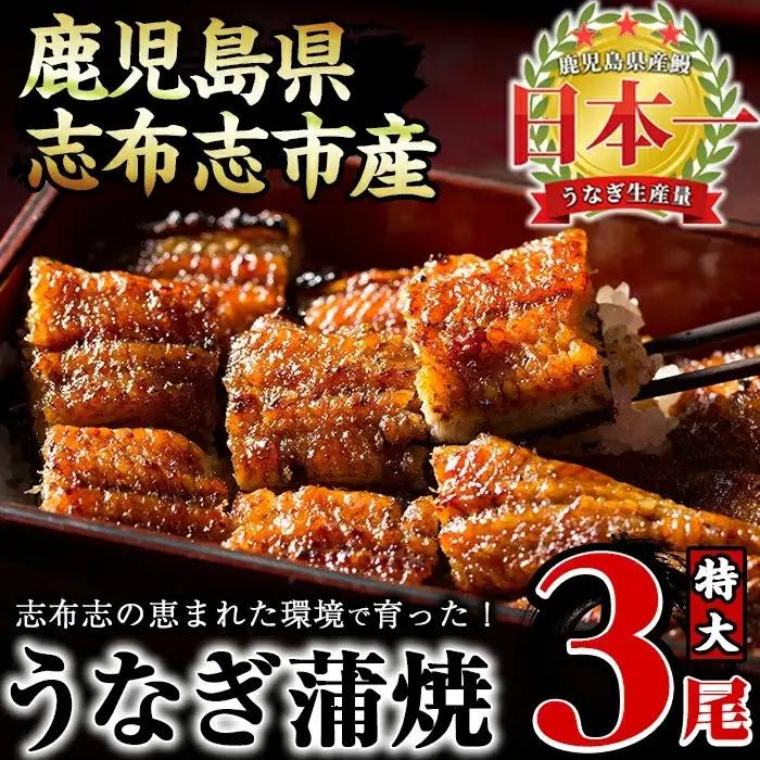 うなぎの大楠＜特大＞3尾セット計510g(170g×3) うなぎ 鰻 ウナギ 3尾 国産 九州産 蒲焼き かばやき 冷凍 うな重 ひつまぶし タレ 山椒 真空パック ランキング 人気 b3-005