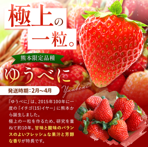 厳選農家直送 ゆうべに 約1000g