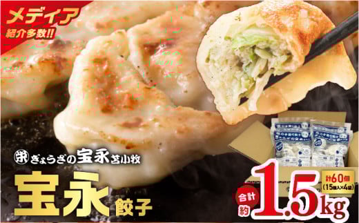 【ぎょうざの宝永】宝永餃子375g入（15個入）×4袋 合計1.5kg　T004-001