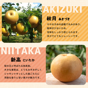 【2024年先行予約】真岡市産 新高 梨 5kg