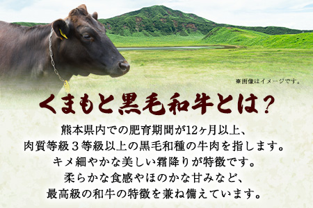 くまもと黒毛和牛 肩スライス（焼肉用）400g 肉のみやべ 《90日以内に出荷予定(土日祝除く)》 焼肉 チンジャオロースー チャーハン