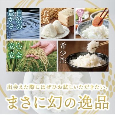 ふるさと納税 大子町 【毎月定期便】大子産米 コシヒカリ (精米)2kg×2回お届け 茨城県 大子町全2回 |  | 03