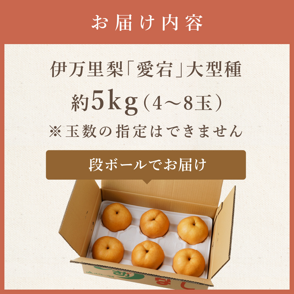 【令和7年産先行予約】伊万里梨 「愛宕」 約5kg 大型種 B164
