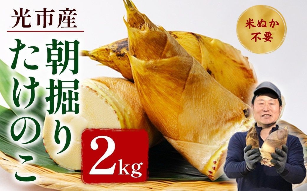 
                  たけのこ 朝掘り 2kg 米ぬか不要【先行予約】2027年4月順次発送 筍 タケノコ 国産 野菜 旬 新鮮 採りたて 煮物 味噌汁 炊き込みご飯 山口県 光市 室積たけのこ園 AW0101
                