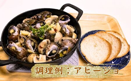 【季節限定】 活黒ばい貝1kg ばい貝 魚介類 魚介類